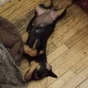 Meet your Posher, Bryan